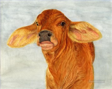  Kal Kunst - Kuh Dana calf